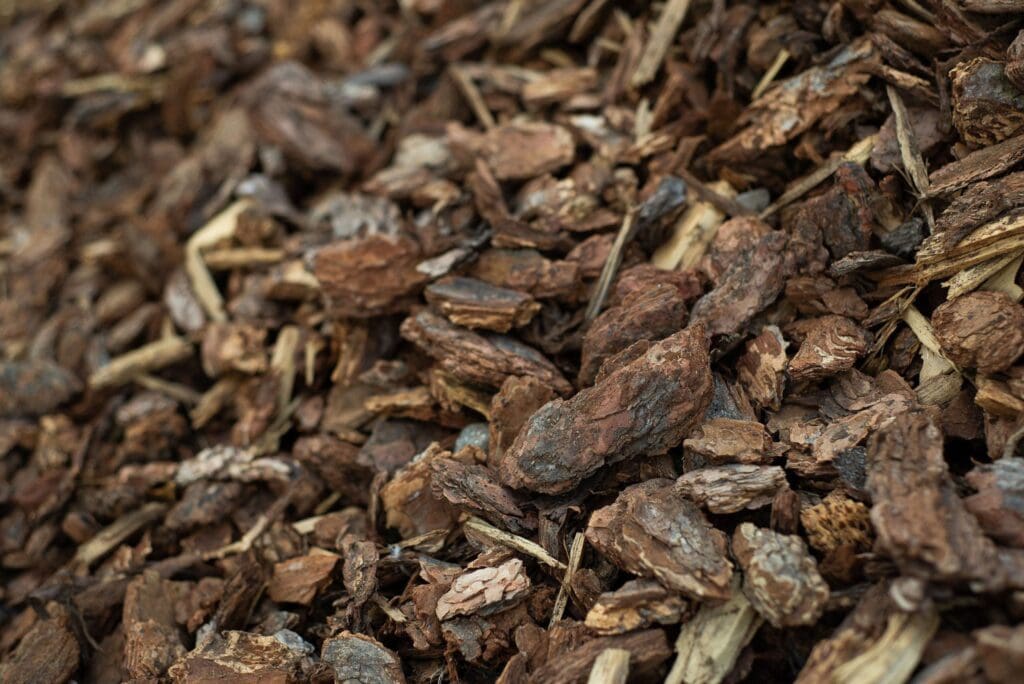Close-up of brown wood chips used as mulch.