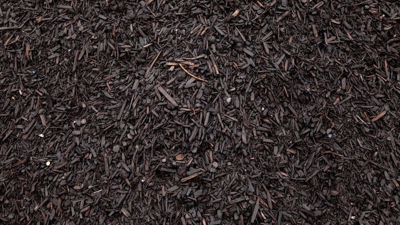 Close-up of black tea leaves texture.