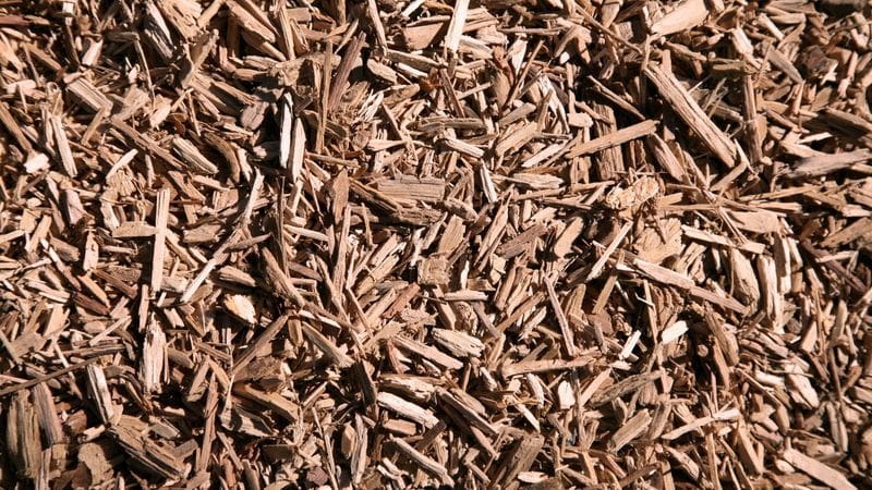Close-up of brown wood chips scattered densely.