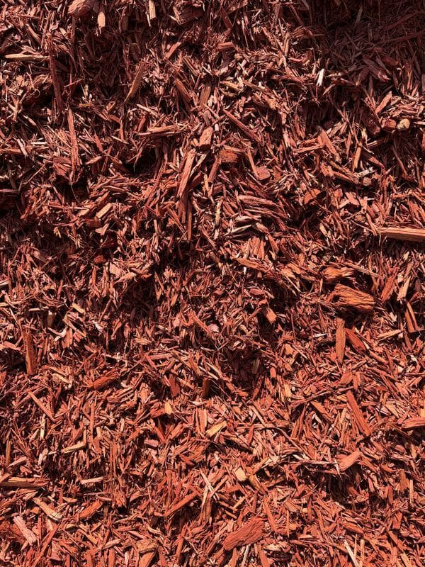 Close-up of shredded red mulch covering the ground.