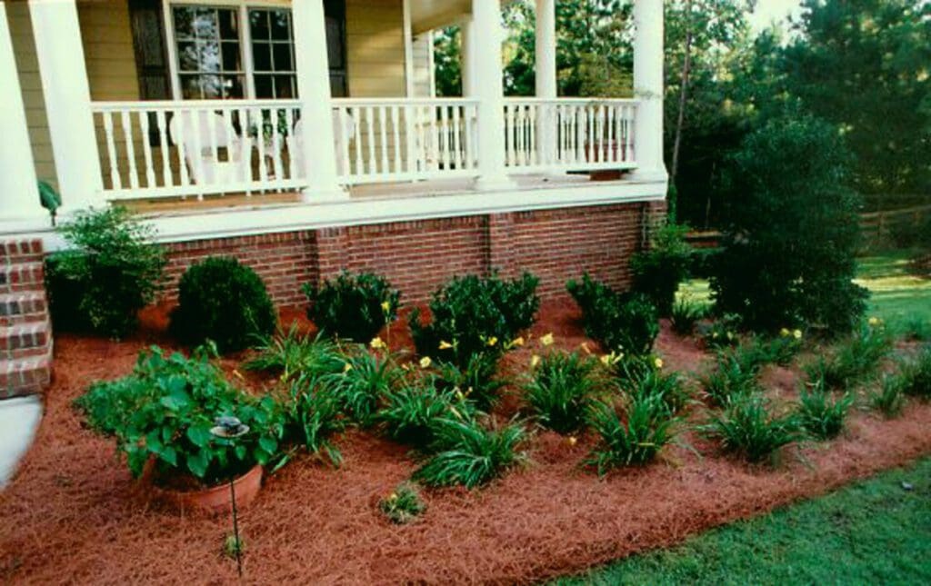 Well-maintained front yard garden with a variety of plants and mulch.