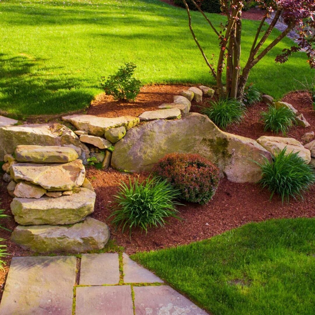 Garden with stone steps and lush greenery