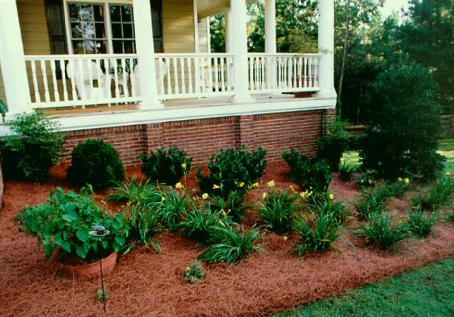 Well-maintained front yard garden with a variety of plants and mulch.