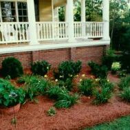 Well-maintained front yard garden with a variety of plants and mulch.